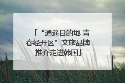 “逍遥目的地 青春经开区”文旅品牌推介走进韩国