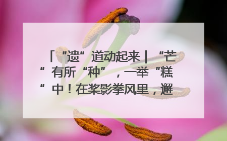 “遗”道动起来｜“芒”有所“种”，一举“糕”中！在桨影拳风里，邂逅最“动”人的风景！（内含报名信息）