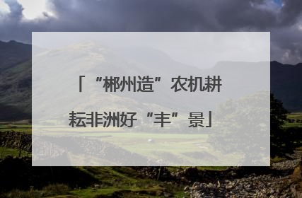 “郴州造”农机耕耘非洲好“丰”景