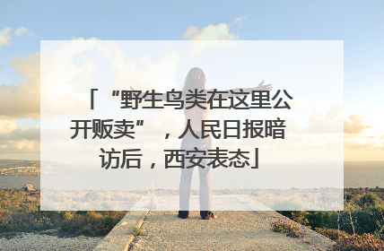 “野生鸟类在这里公开贩卖”，人民日报暗访后，西安表态