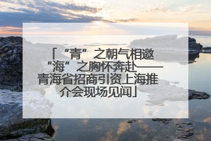 “青”之朝气相邀 “海”之胸怀奔赴——青海省招商引资上海推介会现场见闻