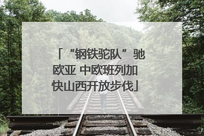 “钢铁驼队”驰欧亚 中欧班列加快山西开放步伐