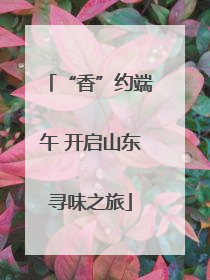 “香”约端午 开启山东寻味之旅