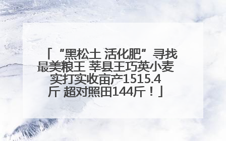 “黑松土 活化肥”寻找最美粮王 莘县王巧英小麦实打实收亩产1515.4斤 超对照田144斤！