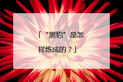 “黑豹”是怎样炼成的？