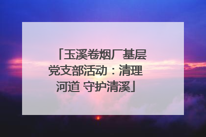 玉溪卷烟厂基层党支部活动：清理河道 守护清溪