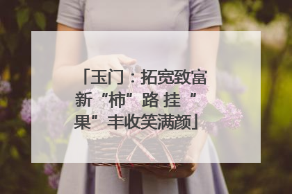 玉门：拓宽致富新“柿”路 挂“果”丰收笑满颜