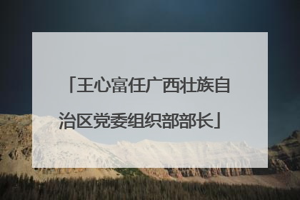 王心富任广西壮族自治区党委组织部部长