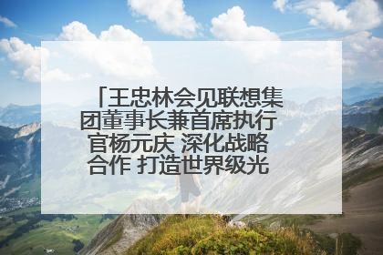 王忠林会见联想集团董事长兼首席执行官杨元庆 深化战略合作 打造世界级光电子信息产业集群