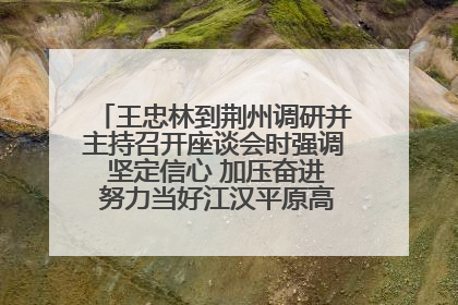王忠林到荆州调研并主持召开座谈会时强调 坚定信心 加压奋进 努力当好江汉平原高质量发展排头兵