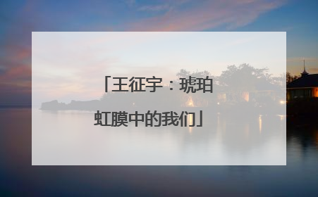 王征宇：琥珀虹膜中的我们