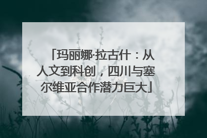 玛丽娜·拉古什：从人文到科创，四川与塞尔维亚合作潜力巨大