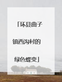 环县曲子镇西沟村的绿色蝶变