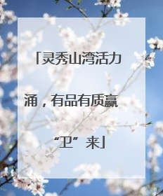 灵秀山湾活力涌，有品有质赢“卫”来