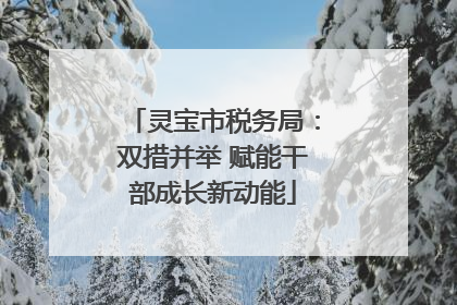 灵宝市税务局：双措并举 赋能干部成长新动能