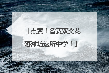 点赞！省赛双奖花落潍坊这所中学！