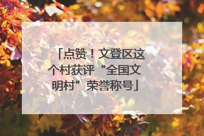 点赞！文登区这个村获评“全国文明村”荣誉称号