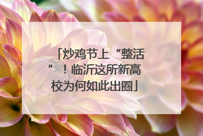 炒鸡节上“整活”！临沂这所新高校为何如此出圈