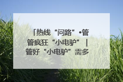 热线“问路”•管管疯狂“小电驴”｜管好“小电驴”需多部门形成合力