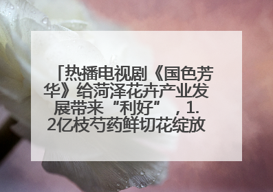 热播电视剧《国色芳华》给菏泽花卉产业发展带来“利好”，1.2亿枝芍药鲜切花绽放“国色芳华”