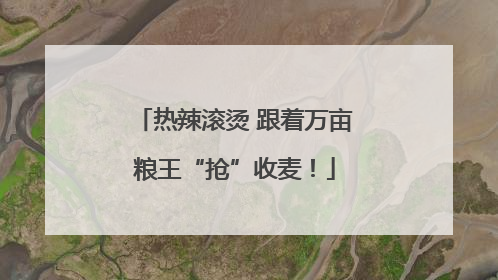 热辣滚烫 跟着万亩粮王“抢”收麦！
