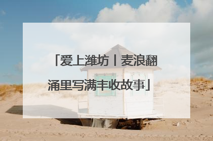 爱上潍坊丨麦浪翻涌里写满丰收故事