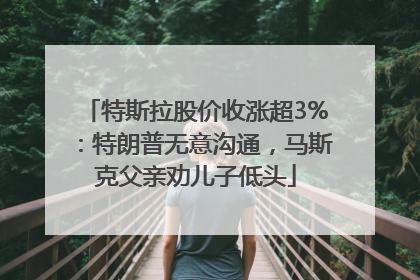 特斯拉股价收涨超3%：特朗普无意沟通，马斯克父亲劝儿子低头