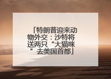特朗普迎来动物外交：沙特将送两只“大猫咪”去美国首都