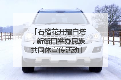 石榴花开耀白塔，新街口举办民族共同体宣传活动