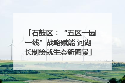 石鼓区：“五区一园一线”战略赋能 河湖长制绘就生态新图景