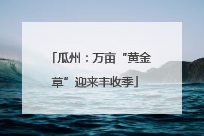 瓜州：万亩“黄金草”迎来丰收季