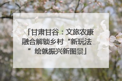 甘肃甘谷：文旅农康融合解锁乡村“新玩法”绘就振兴新图景