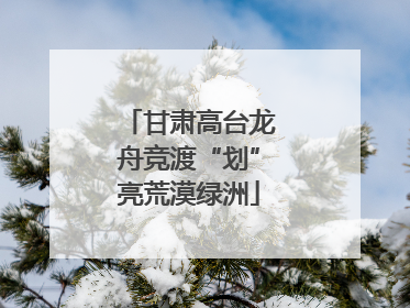 甘肃高台龙舟竞渡“划”亮荒漠绿洲