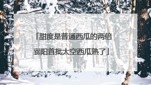 甜度是普通西瓜的两倍 襄阳首批太空西瓜熟了