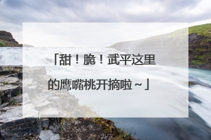甜！脆！武平这里的鹰嘴桃开摘啦～