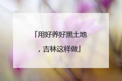 用好养好黑土地，吉林这样做