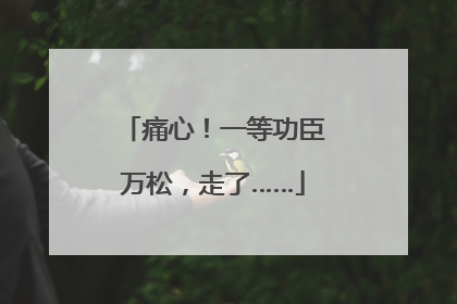 痛心！一等功臣万松，走了……