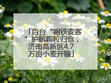 百台“钢铁麦客”护航颗粒归仓，济南高新区4.7万亩小麦开镰