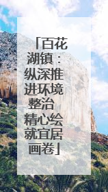 百花湖镇：纵深推进环境整治 精心绘就宜居画卷
