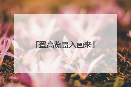 登高览景入画来