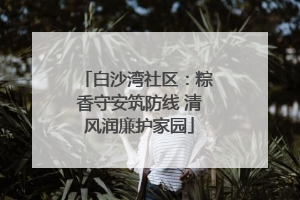 白沙湾社区：粽香守安筑防线 清风润廉护家园