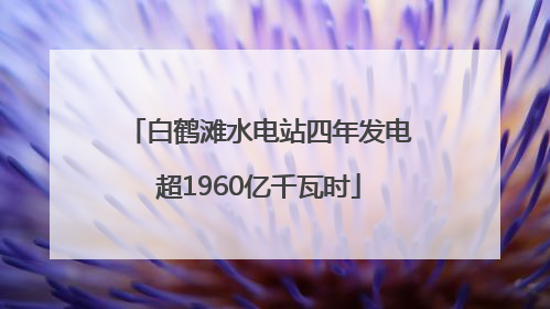 白鹤滩水电站四年发电超1960亿千瓦时
