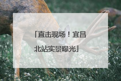直击现场！宜昌北站实景曝光