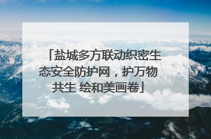 盐城多方联动织密生态安全防护网，护万物共生 绘和美画卷