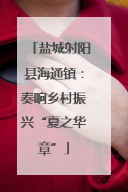 盐城射阳县海通镇：奏响乡村振兴“夏之华章”