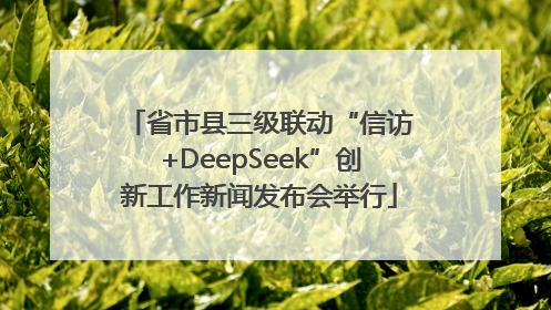 省市县三级联动“信访+DeepSeek”创新工作新闻发布会举行