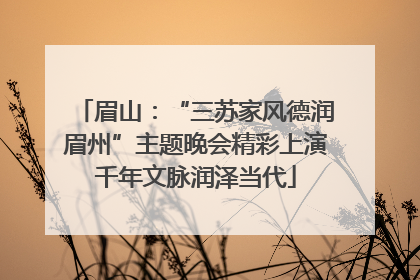 眉山：“三苏家风德润眉州”主题晚会精彩上演千年文脉润泽当代