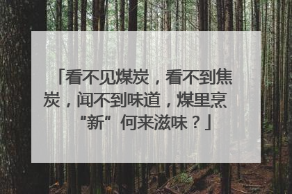 看不见煤炭，看不到焦炭，闻不到味道，煤里烹“新”何来滋味？