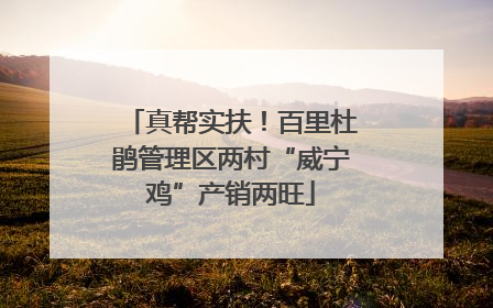 真帮实扶！百里杜鹃管理区两村“威宁鸡”产销两旺