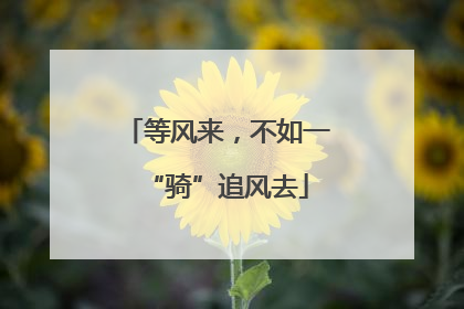 等风来，不如一“骑”追风去